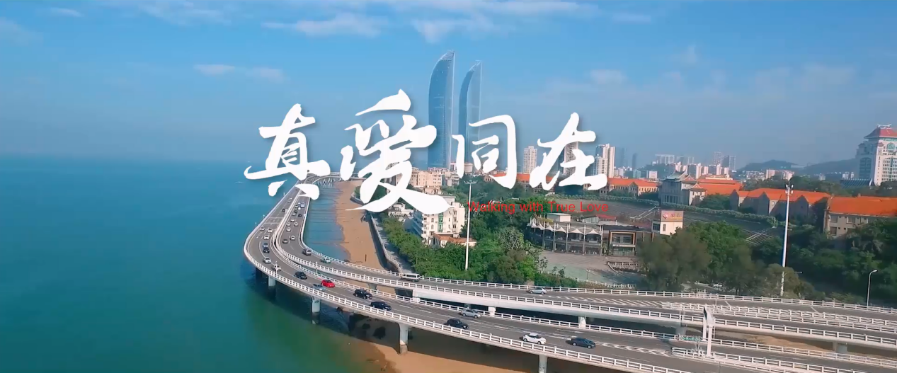 白鸽在线原创歌曲