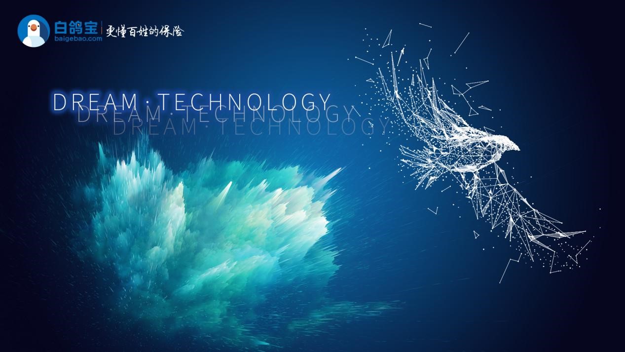 白鸽宝,更懂百姓的保险